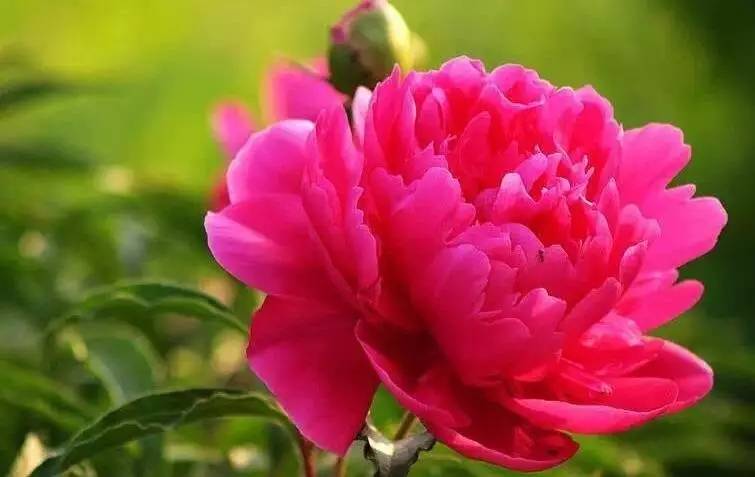 ?讨厌人山人海 那这些地方你觉得如何?诸暨第