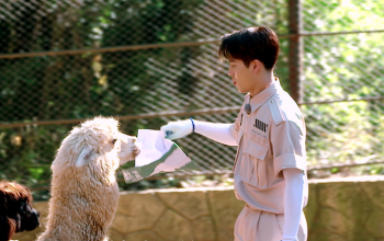 嗨放派 第2期預告：嗨放boys動物園里裝動物 驚喜還是驚嚇？
