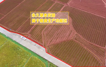 今日聚集211101：绍兴柯桥区——粮食生产功能区为何又新种苗木？