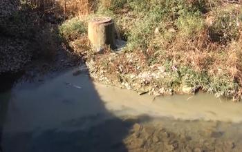 今日聚焦220110：安吉——日均400噸污水入河 “問題”管道為何無人管？