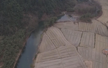 今日聚焦220124：杭州临安区：年久失修的防洪堤为何迟迟难修复？