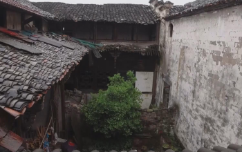 今日聚焦220613：金华金东区——传统村落中柔村保护现状令人堪忧