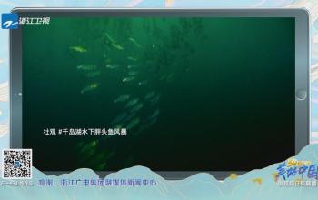 《美好中國》千島湖水下胖頭魚風暴