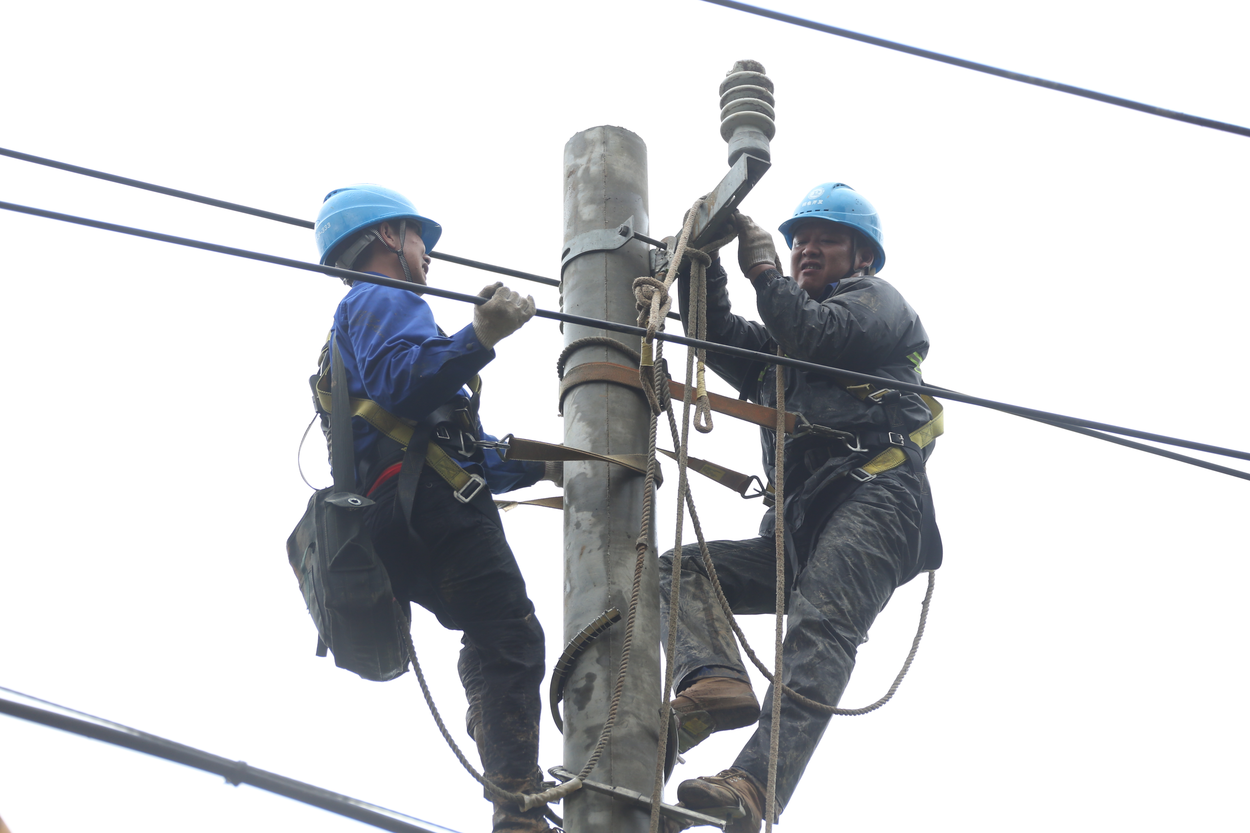 供电人员在旧县合岭村冒雨进行抢修作业，新架设电杆导线（刘紫婷摄）.JPG