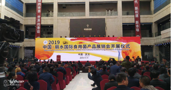 2019中国·丽水国际食用菌大会暨第十一届庆元香菇文化节举行359.png
