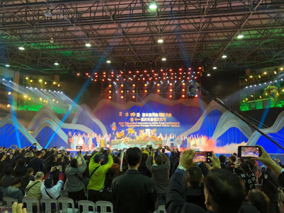2019中国·丽水国际食用菌大会暨第十一届庆元香菇文化节举行118.png