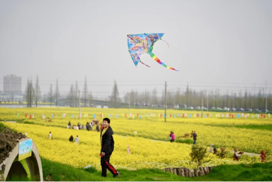 2021陶堰东鉴湖文化旅游节暨湿地油菜花节(1)(2)538.png