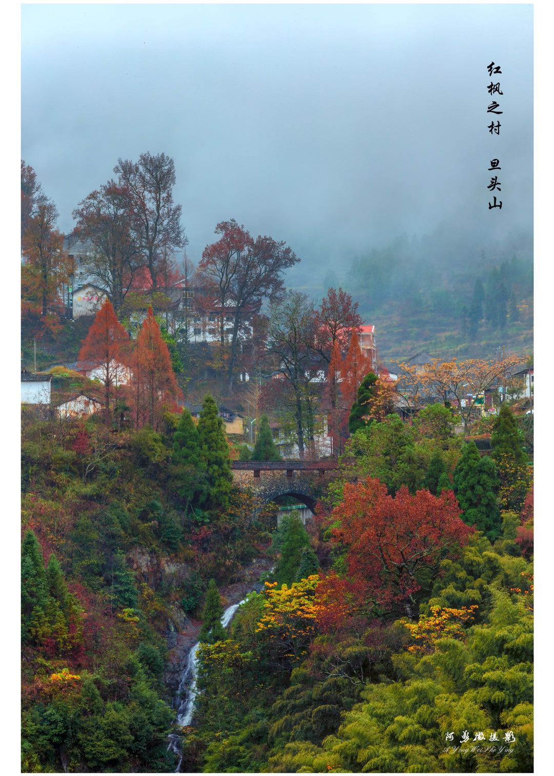 【聚焦高湖】镜头下的梦幻乡村——旦头山村-青田网