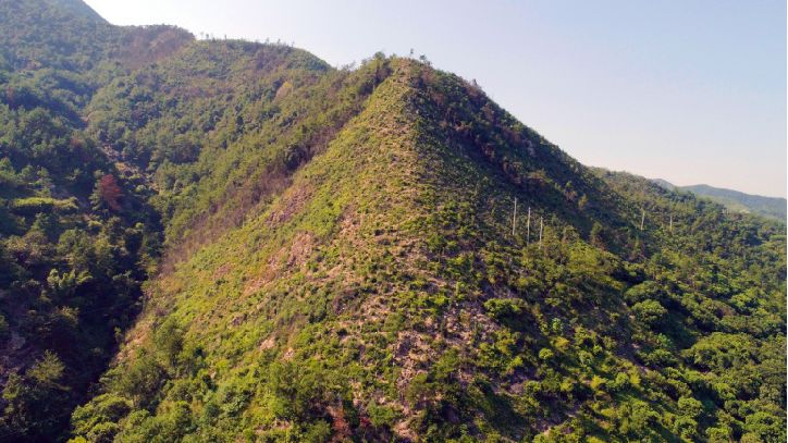 推进坡地森林建设02加大残次林分,病虫害地,疏林地,一般灌木林地的