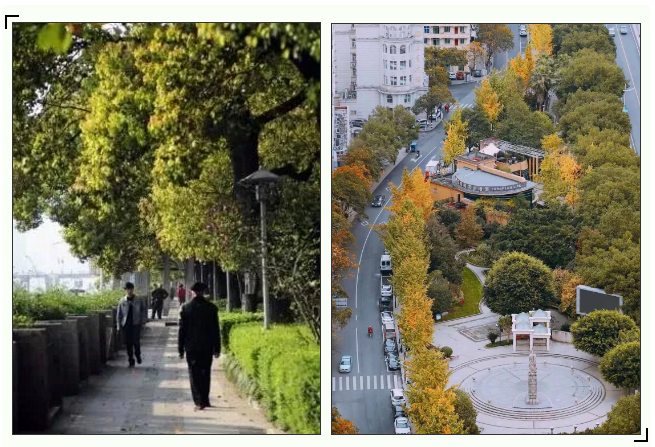 微信截图_20200813093524.png