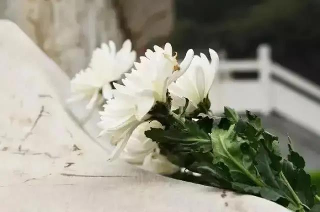 微信图片_20210509194636.jpg