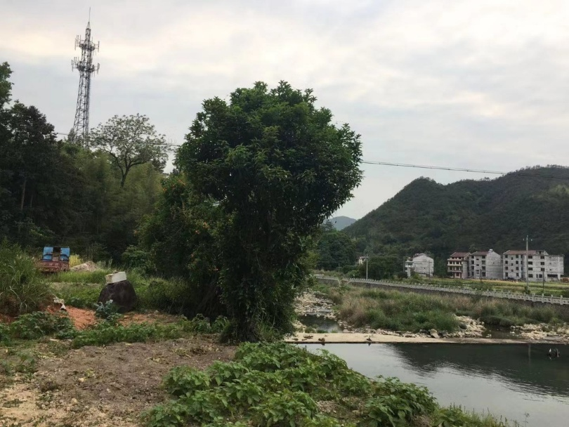 大路 青田船寮