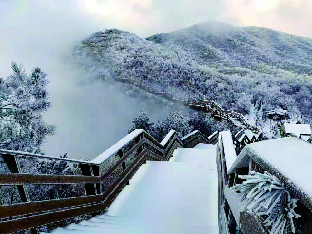 龙游新闻网 六春湖雪景