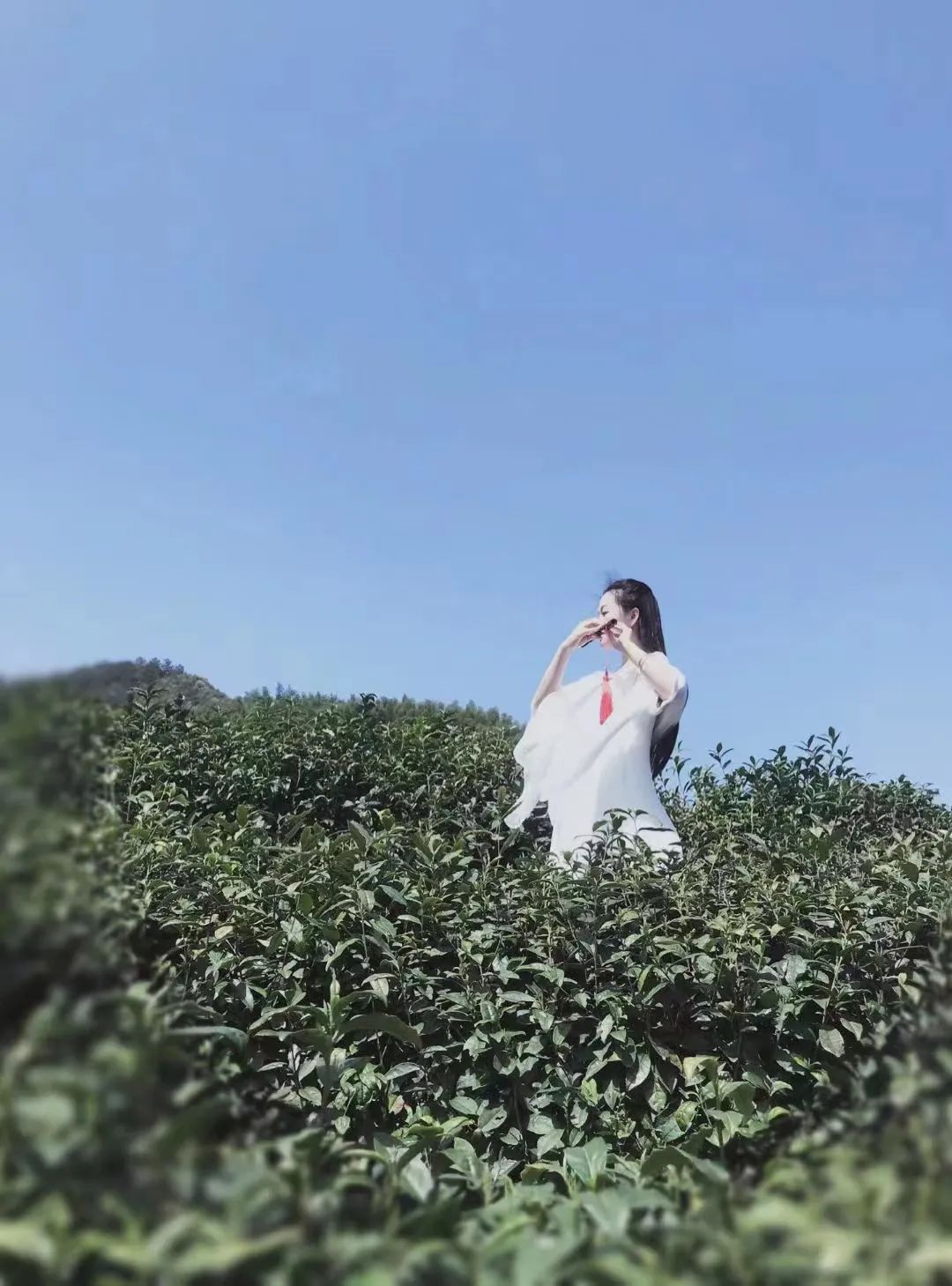 微信图片_20220406093643.jpg