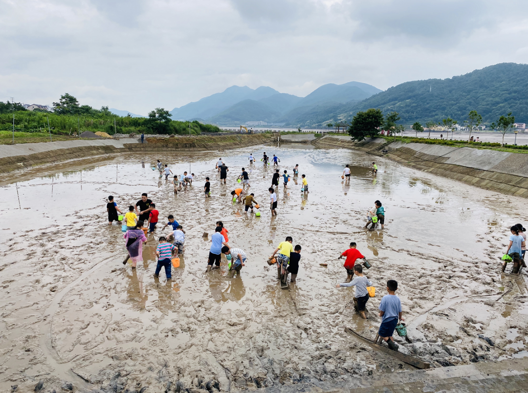 乘风破浪的7月,一起来象山赶海吧