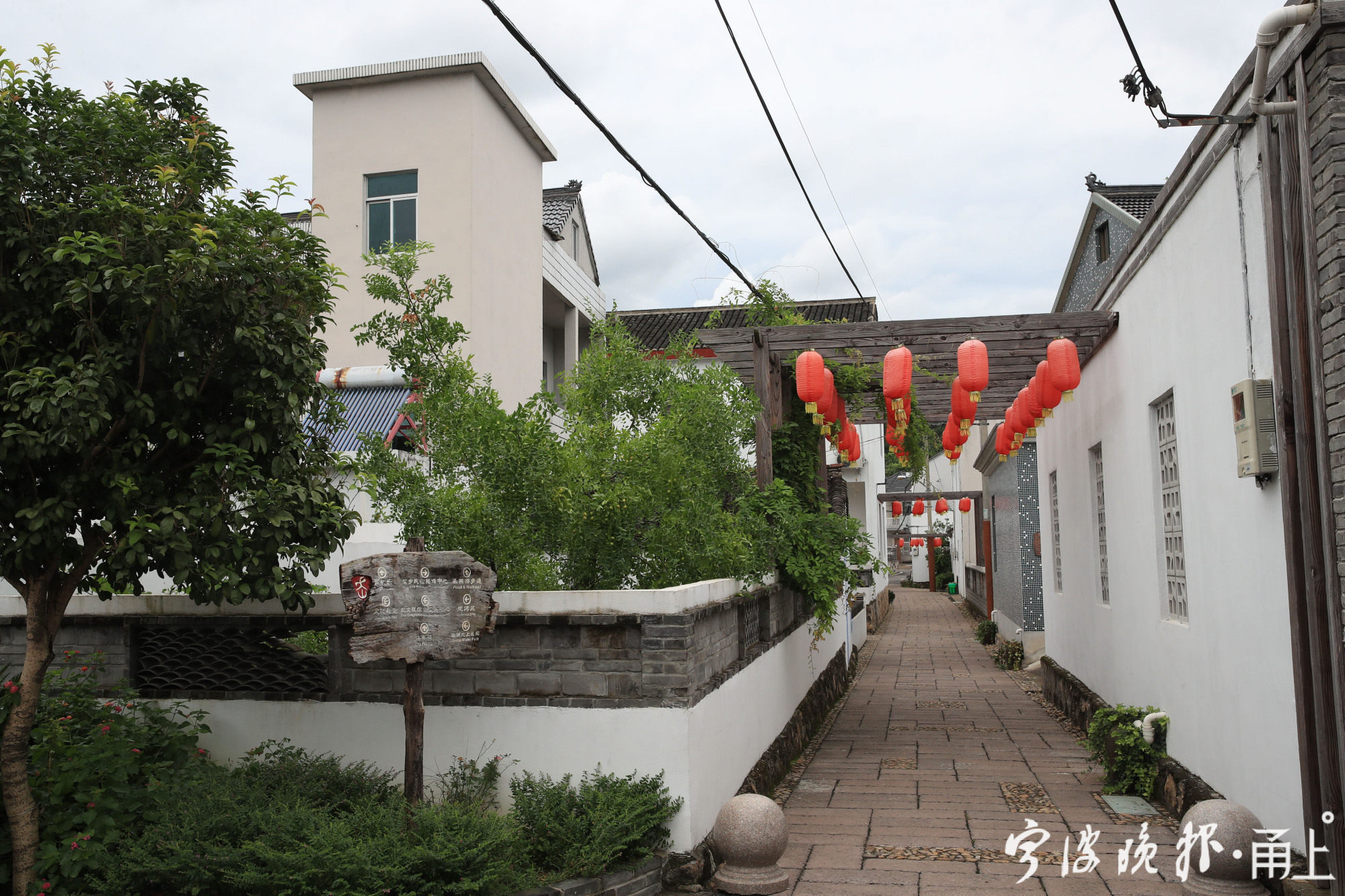 昔日穷山沟成美丽乡村样板村,象山这个村很火!