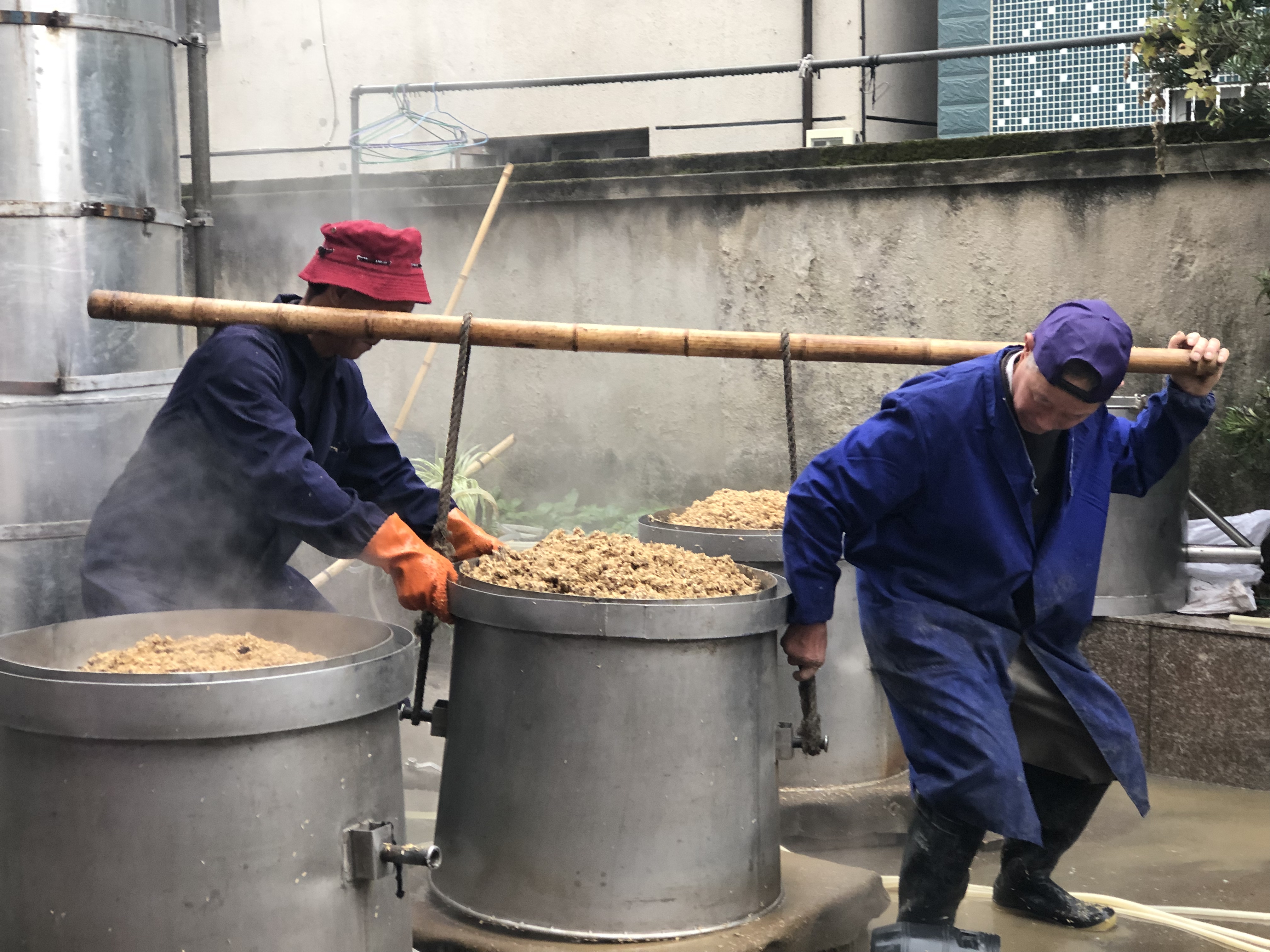 又到番薯酒飘香季节