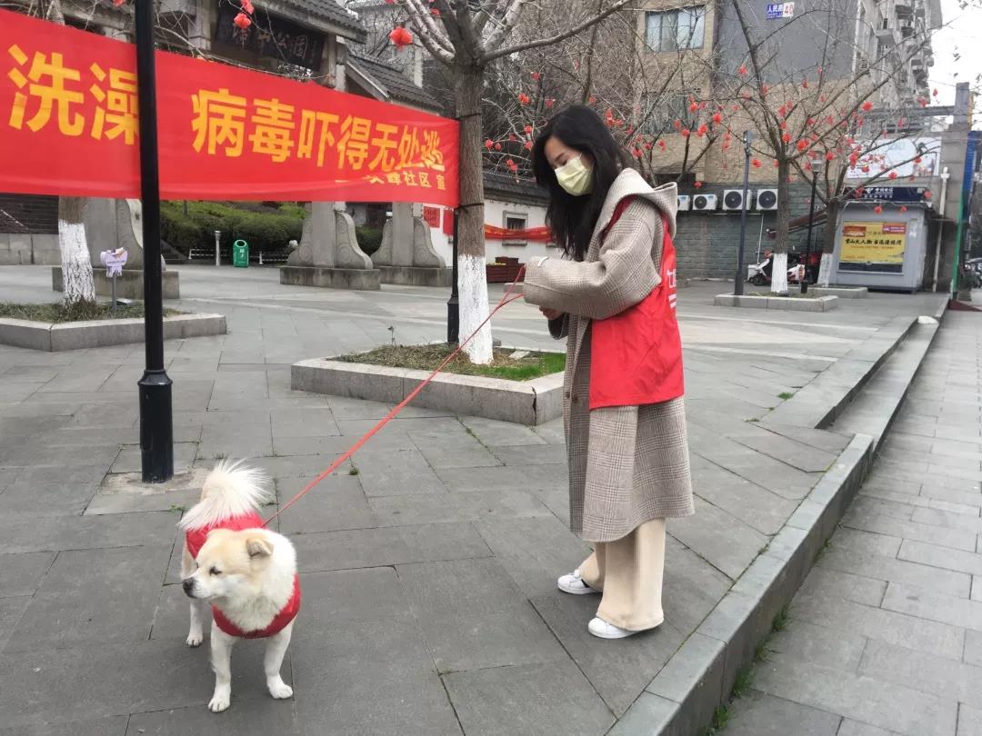 微信图片_20200211133615.jpg