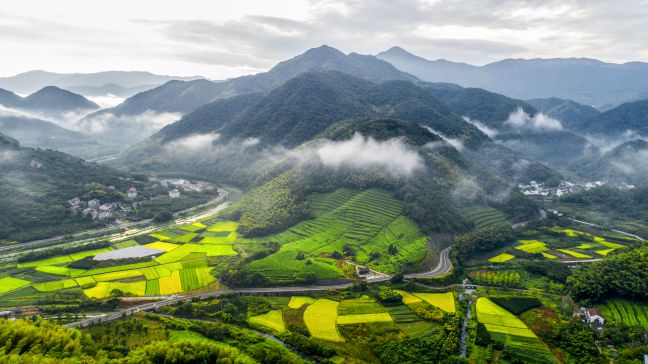 深入实践“两山”理论，提升全域美丽