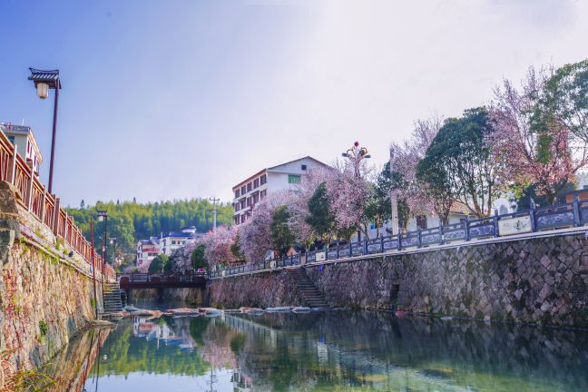 图片16.jpg
