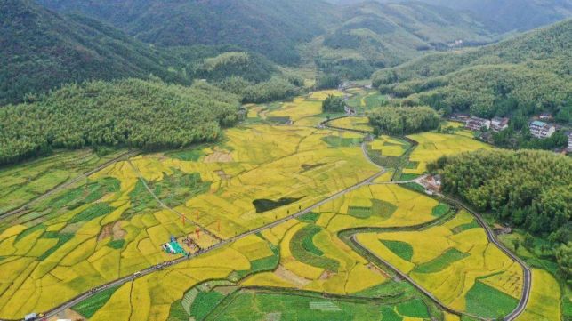 图片63.jpg