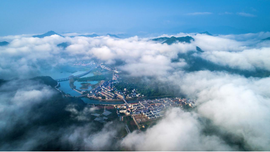 2b52fa8584dc2b972c7adf44c45255c9.png image.png