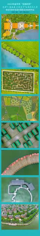 陆建富《鸟瞰花园村》.jpg