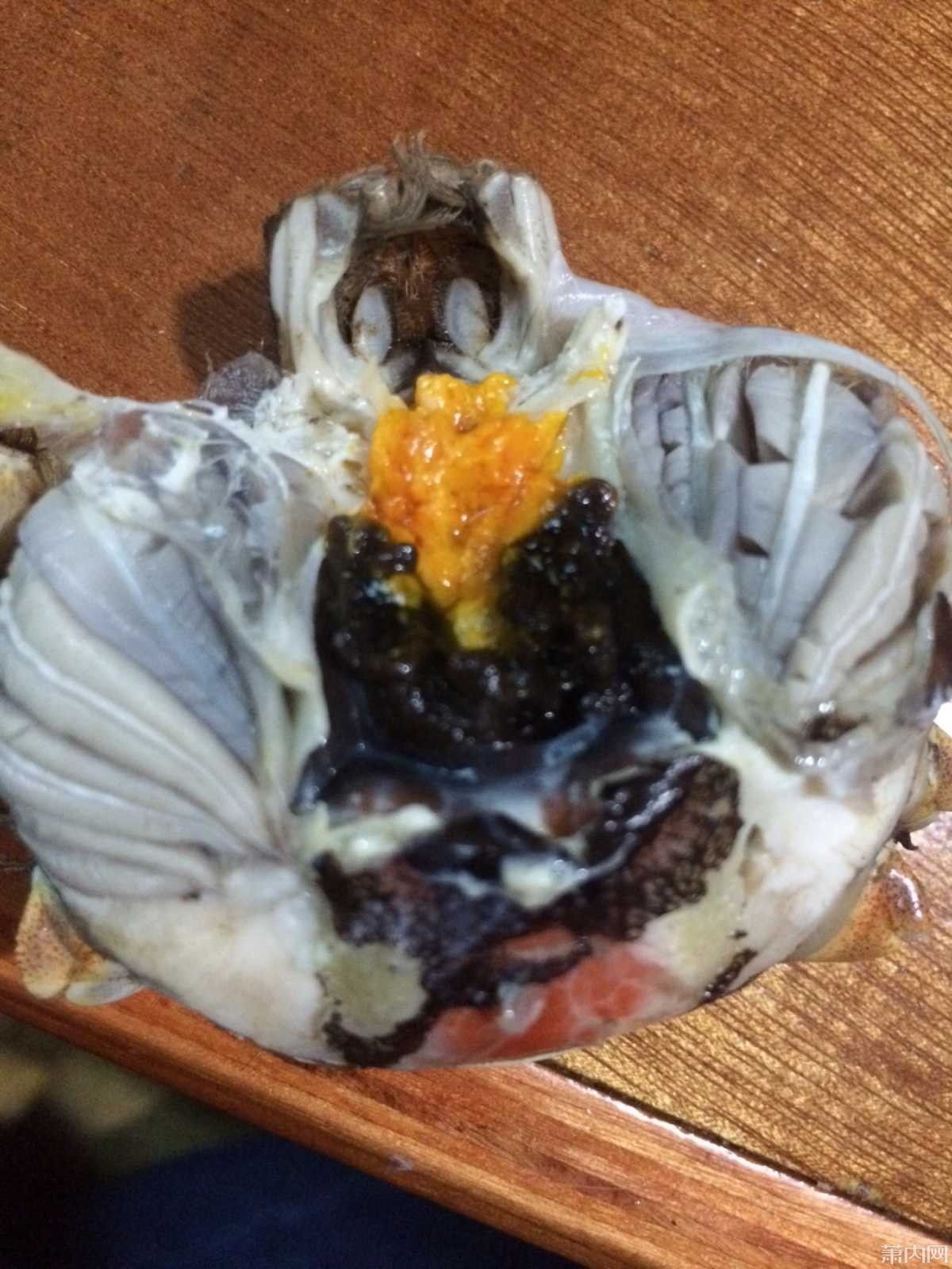网友春节期间买螃蟹,吃的时候吓一跳!什么鬼?