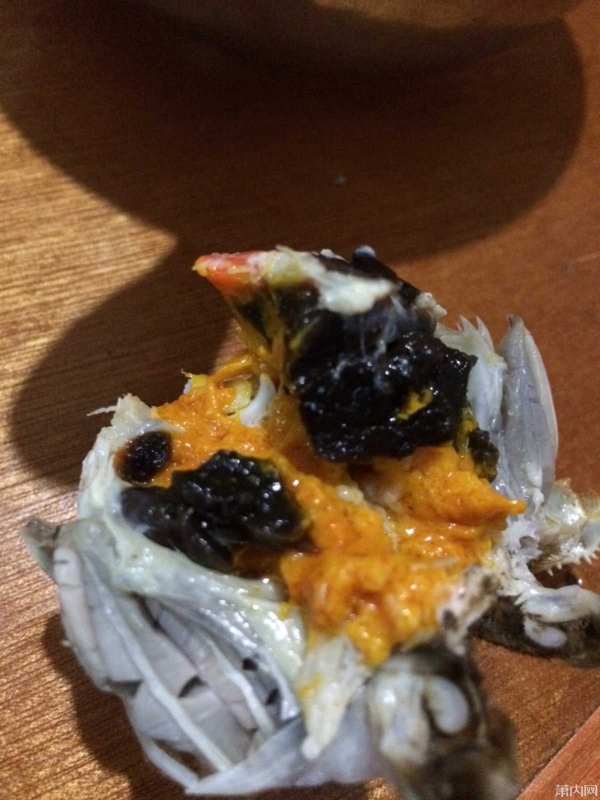 网友春节期间买螃蟹,吃的时候吓一跳!什么鬼?