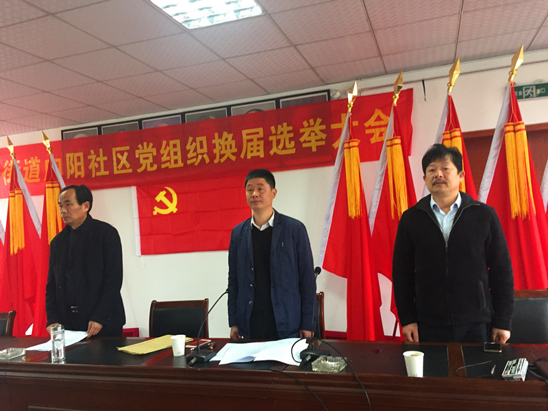 向阳社区召开党组织换届选举大会_湘湖网_湘