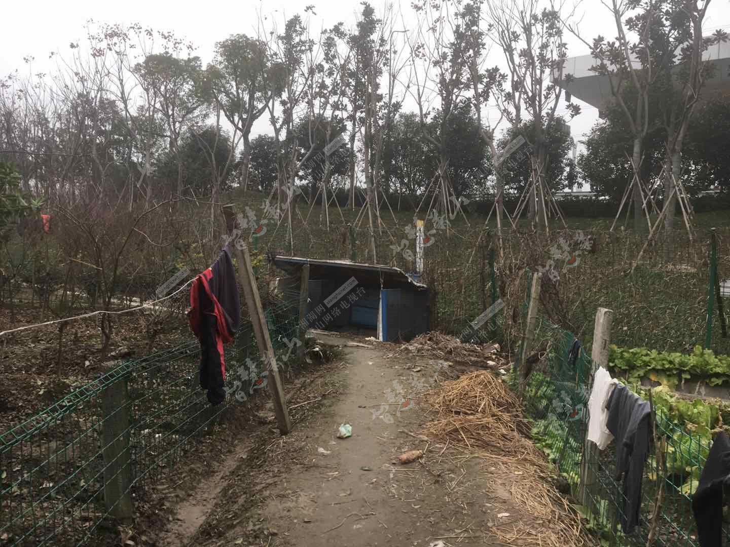 新街露天厕所恶臭难闻 影响周边群众生活