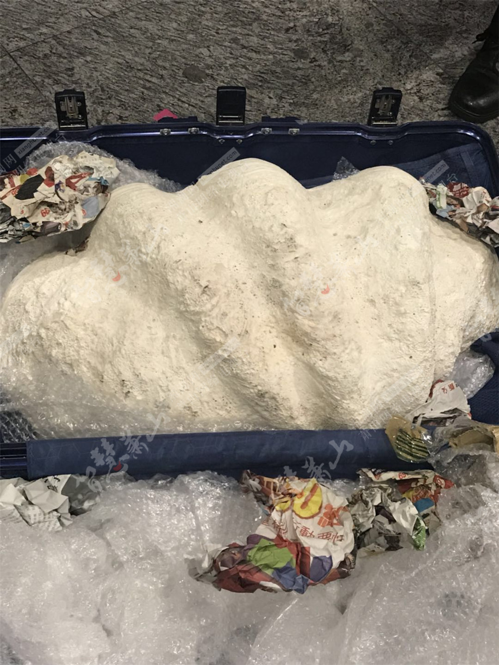 29公斤!萧山机场海关查获迄今为止体积最大的