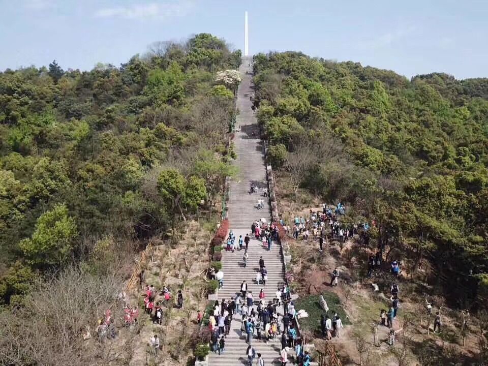 今天起,这片北干山脚下的海棠林就叫"英雄林"!