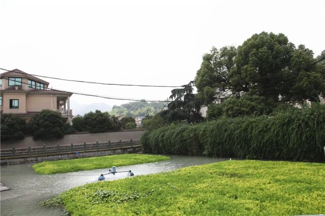柏加王村人口_蒙城县潘王村(2)