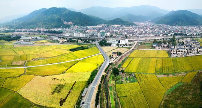 从土地利用规划到土地争议解决：土地法律法规的实践应用指南 (土地利用规划作业1至4答案)