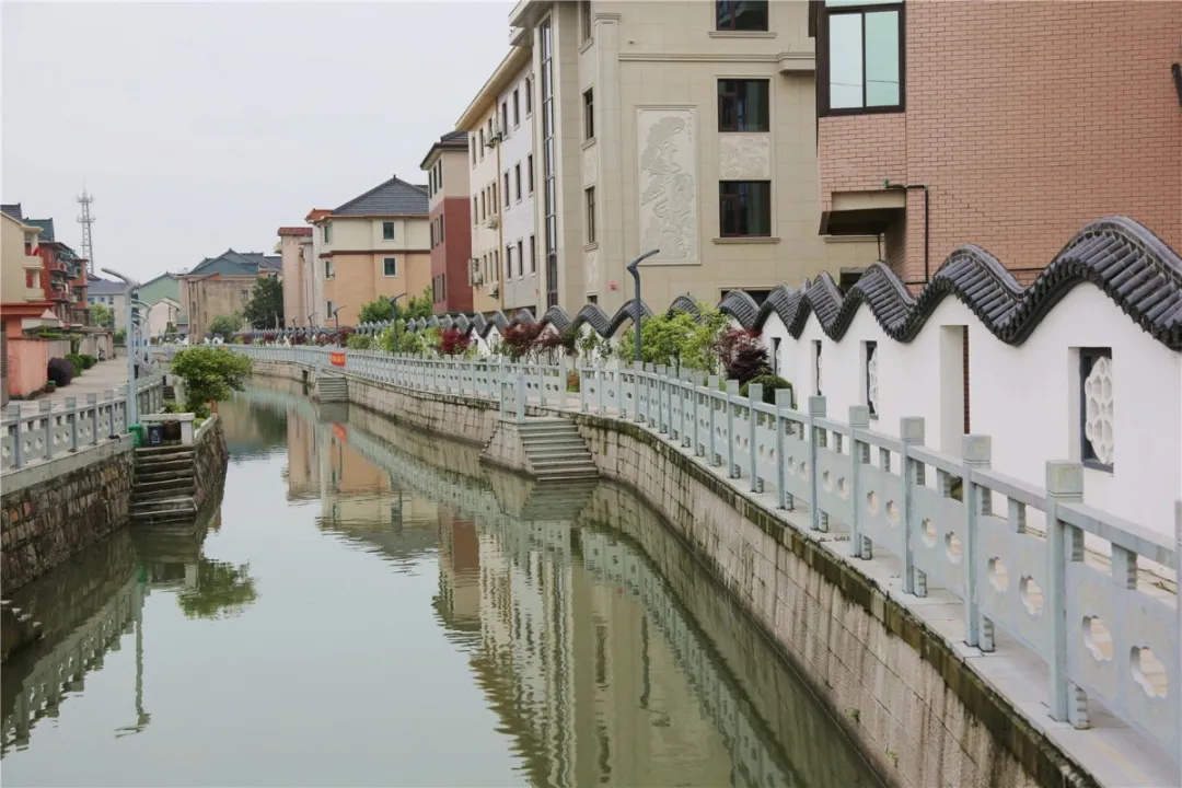 副区长方军调研衙前美丽乡村及美丽河道建设工作