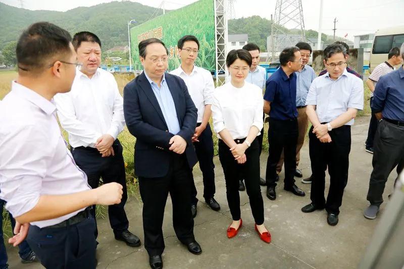 副市长王宏到戴村调研粮食生产工作