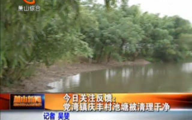 今日关注反馈:党湾镇庆丰村池塘已被清理干净