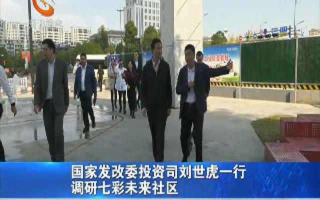 国家发改委投资司刘世虎一行调研七彩未来社区