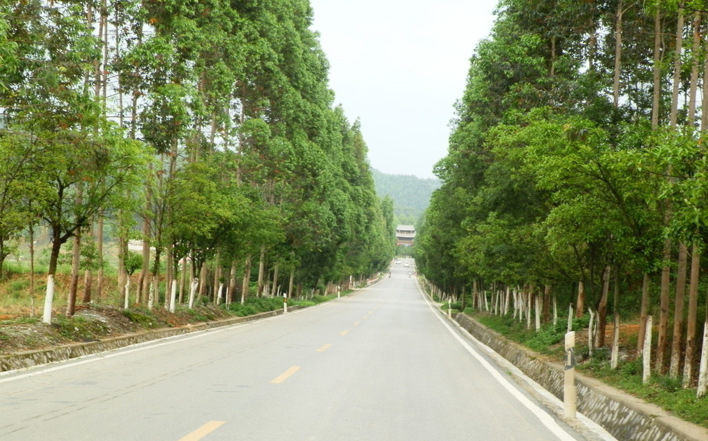 西许村
