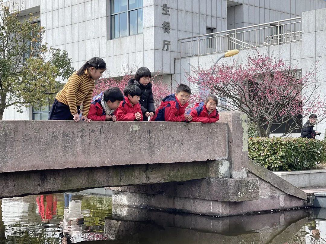 余姚市小曹娥镇中心小学宁海宁海县城中小学宁海县长街中学校西店镇