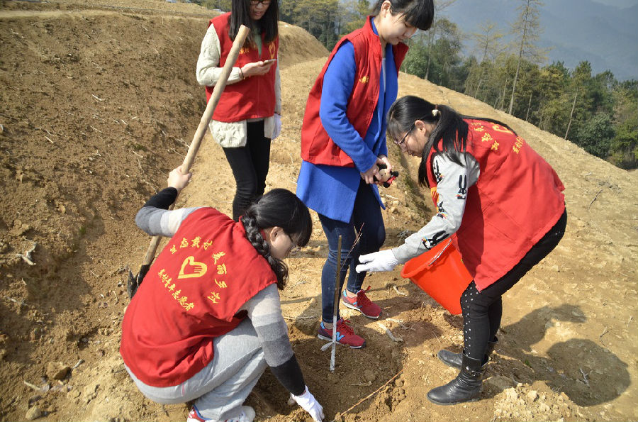 戴村镇开展义务植树活动