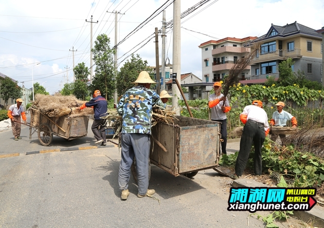 连日来,党湾镇梅东,曙光,幸福,新梅等村积极开展环境整治活动,村庄