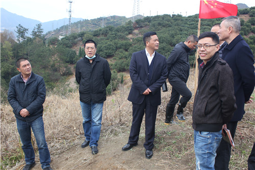 邹春平到瓯南街道东堡山华侨文博生态城项目现场办公