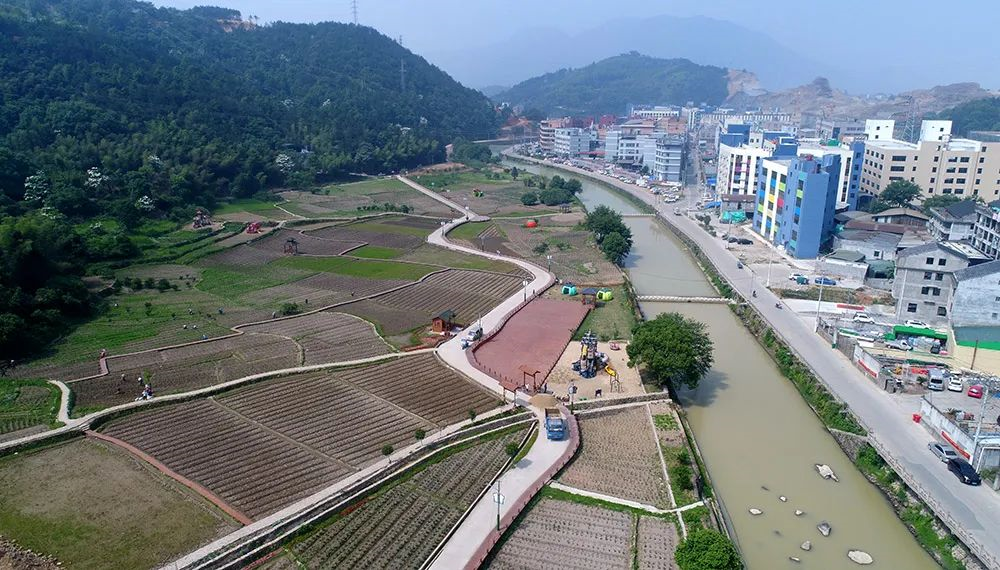 在桥下镇小京社区美丽田园示范点,经过一段时间的整治,杂乱无章的农田