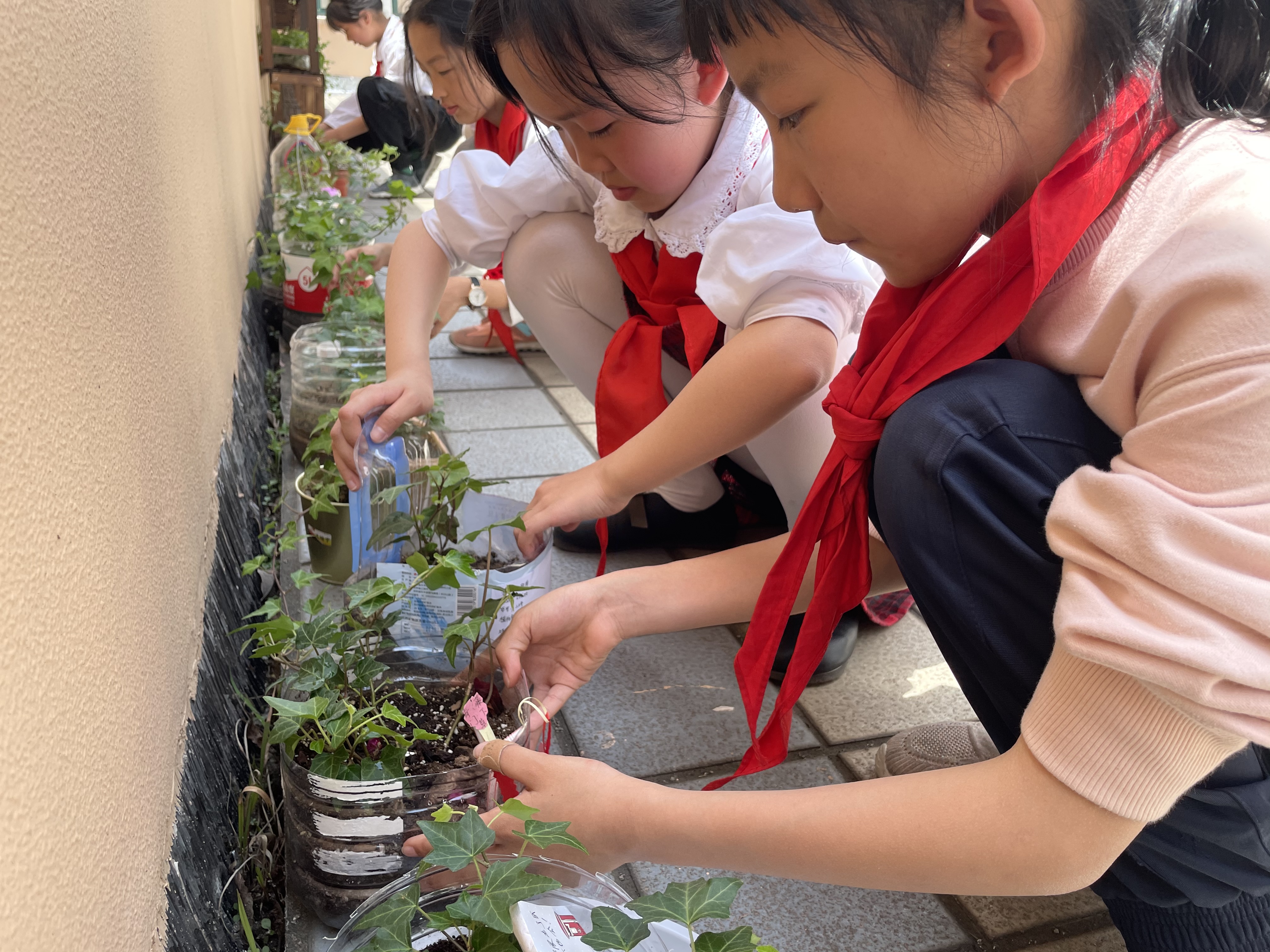 寧波北侖這所學校在勞動節將雜物