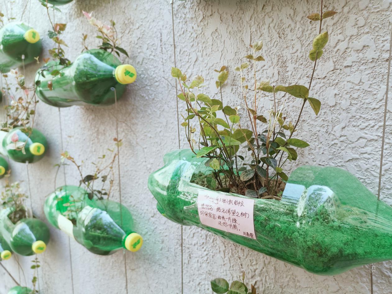 同学们在各班老师的指导下,将用剩的油瓶可乐瓶进行劳动改造,通过爸爸