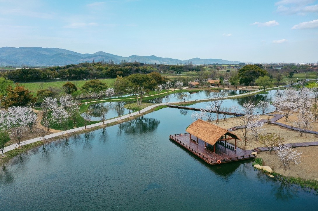 杭州良渚古城遗址公园创新实施水生态立体修复工程