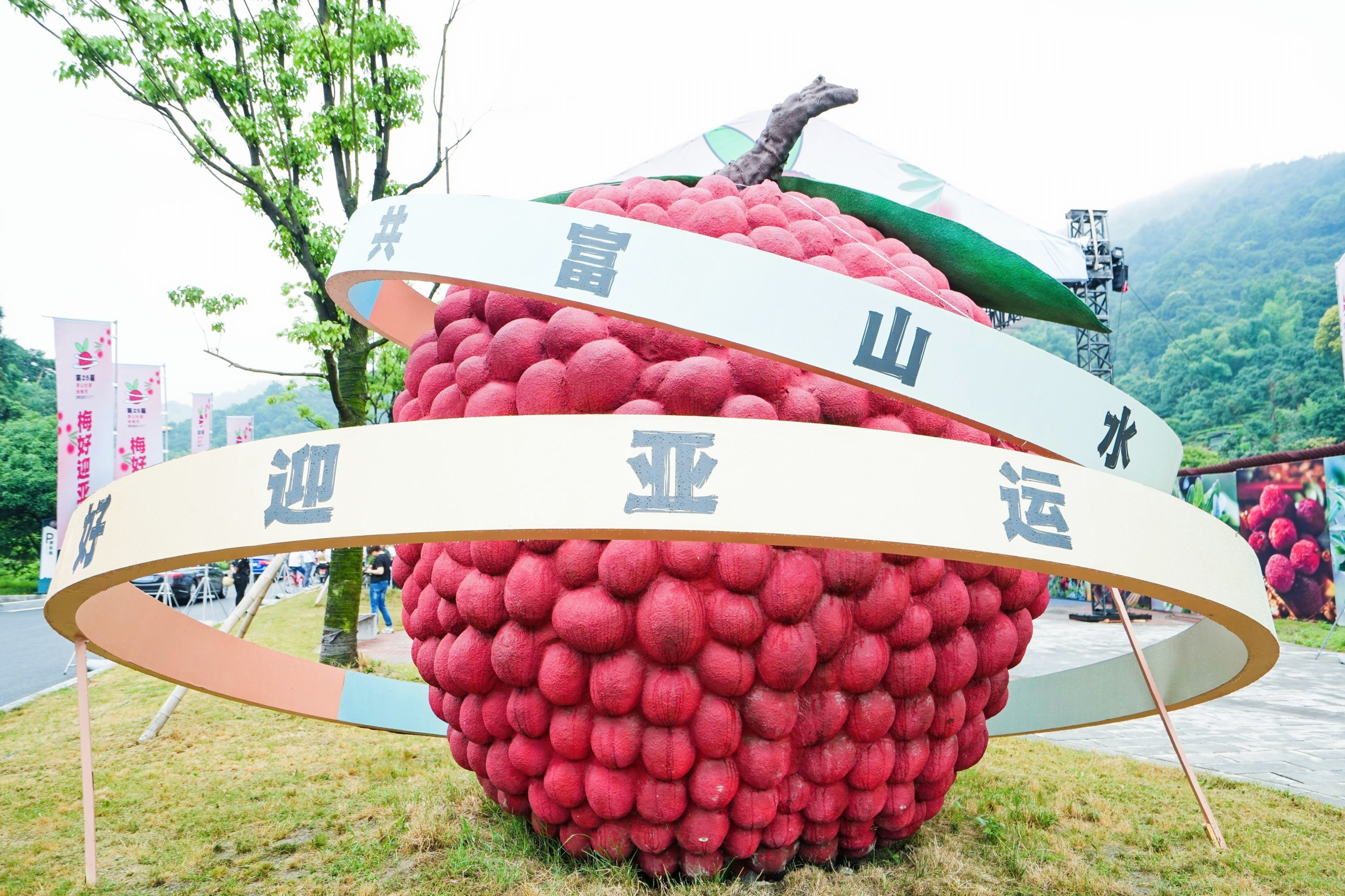 品满山杨梅甜走宽阔共富路享精彩亚运美第25届萧山杜家杨梅节今日开幕