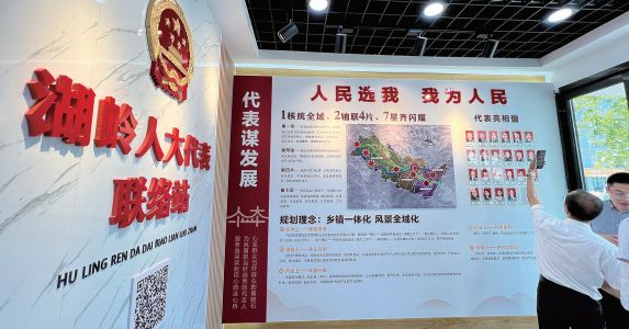 温州瑞安人大8个e系列特色站半年解难近千个